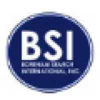 BSI - BOREHAM SEARCH INTERNATIONAL, INC logo